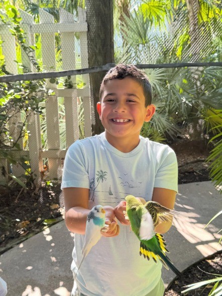 Menino de 9 anos morre após ser atingido por árvore em parquinho de escola nos EUA