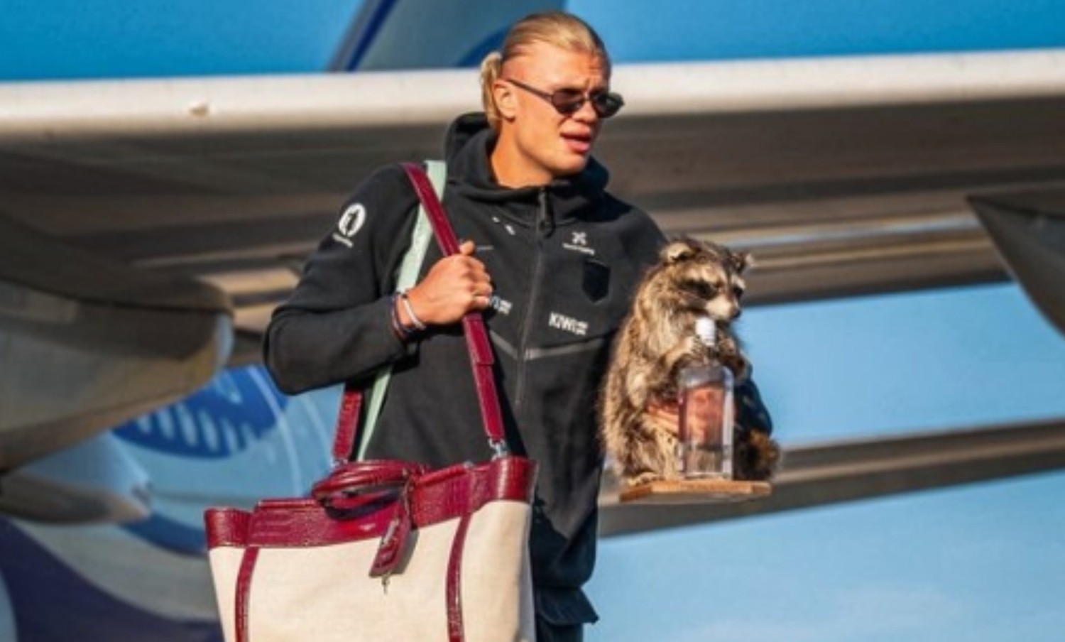 Haaland surpreende com guaxinim empalhado como souvenir da Copa