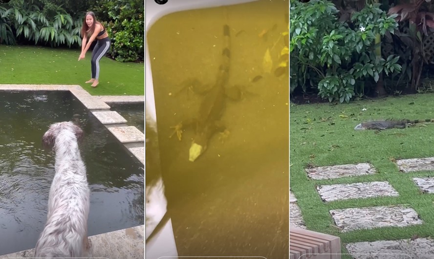 Anitta encontra réptil em sua piscina em casa em Miami, na Flórida