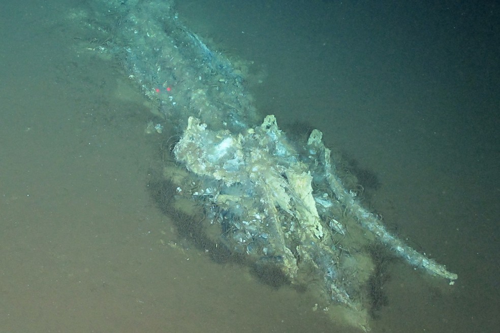 Osso de baleia no maior cemitério de baleias conhecido do mundo, descoberto pelo submersível chinês Fendouzhe — Foto: DIVULGAÇÃO / TENDÊNCIA GLOBAL, IDSSE / AFP