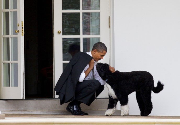 Obama and Bo, the family's beloved dog — Photo: Doug Mills/The New York Times