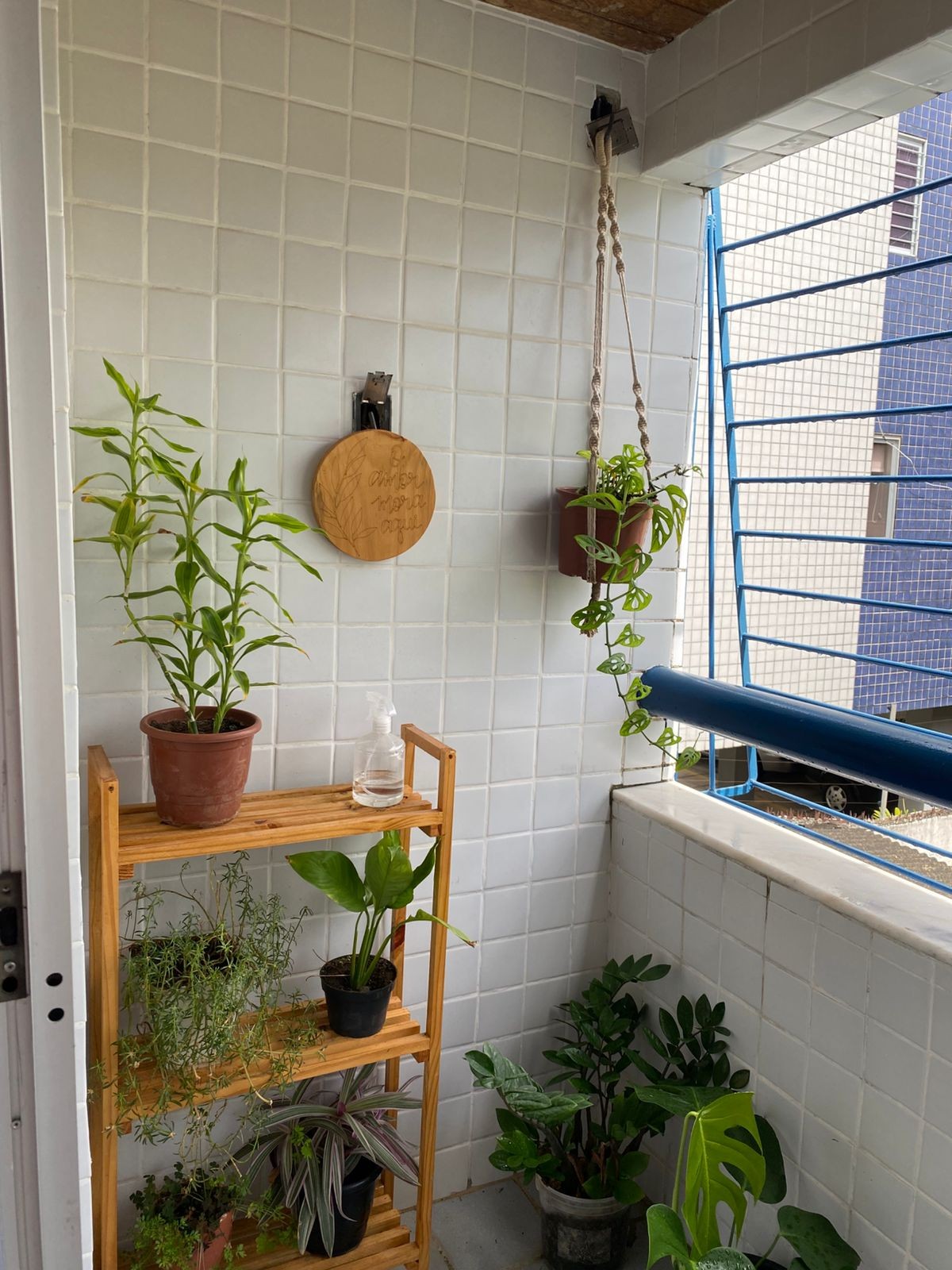 Varanda da casa de Guilherme, do "BBB 25", é um cantinho especial do casal. Eles decoram com plantas  — Foto: Divulgação