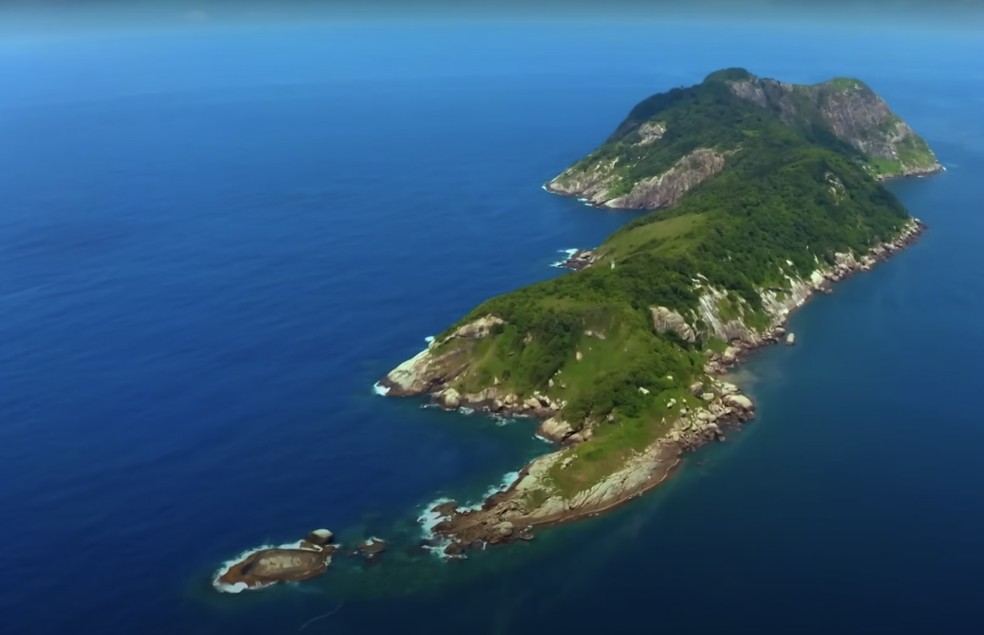 Ilha de Queimada Grande, no litoral de São Paulo — Foto: Reprodução/Youtube