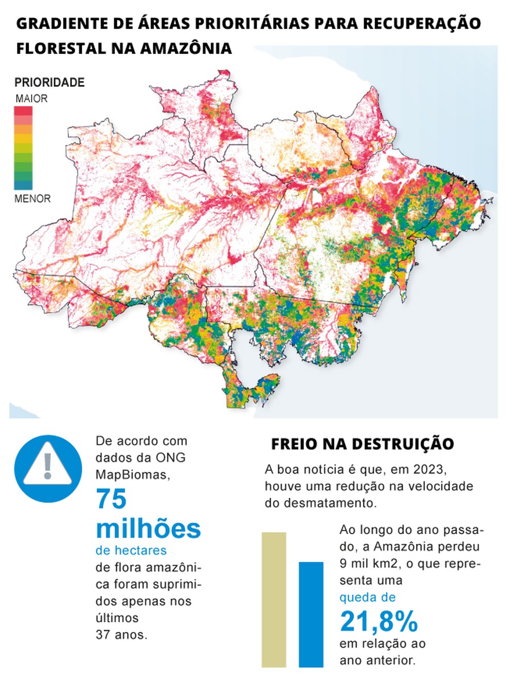 Necessidade de reflorestamento na Amazônia — Foto: Editoria de Arte