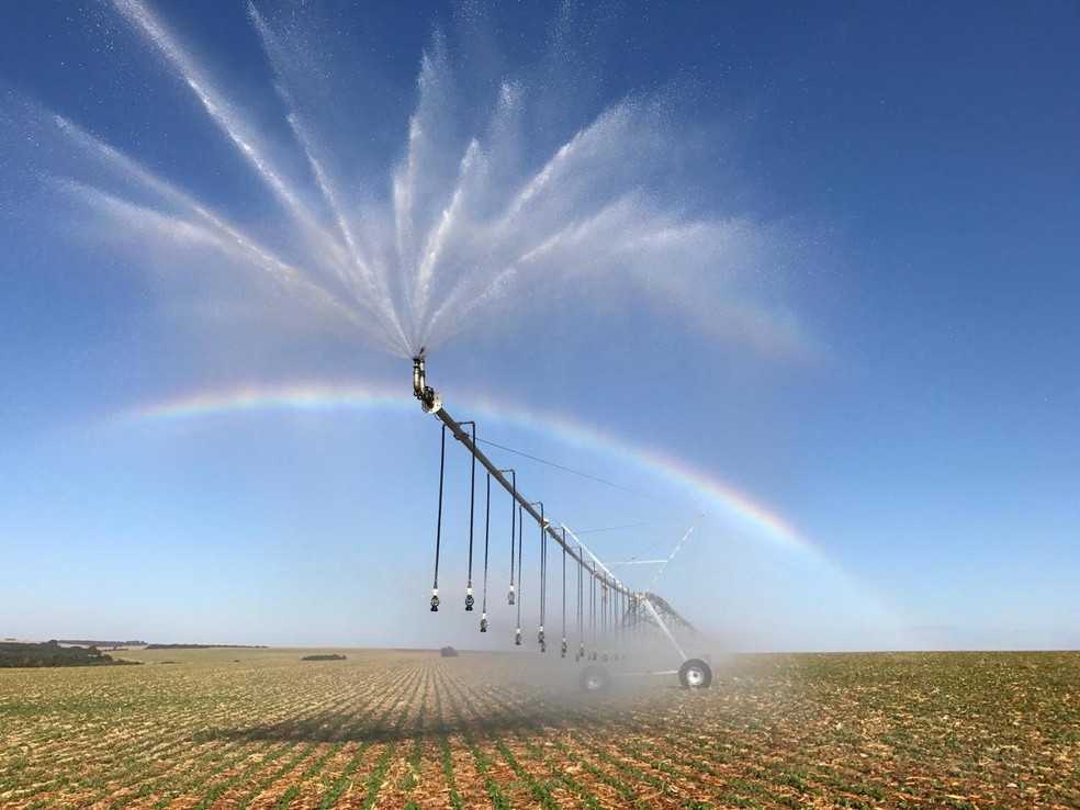 SyncBio: empresa sem fins lucrativos, que pesquisa e oferece consultoria na área de agricultura regenerativa. Na foto, pivô central de irrigação na Fazenda Tropical — Foto: Divulgação