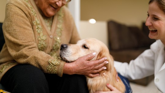 Terapia com animais traz de volta o sorriso de pacientes