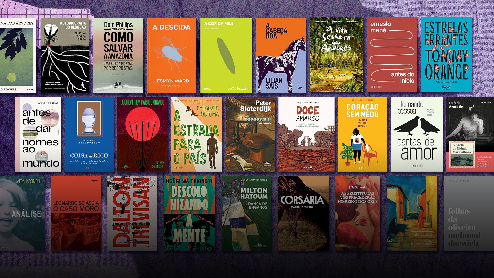 Livros Para 5 Ano