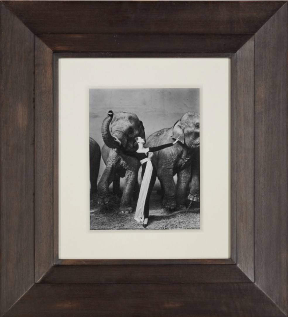 Fotografia "Dovima com Elefantes" está à venda na casa de leilão internacional Sotheby's — Foto: Sotheby's