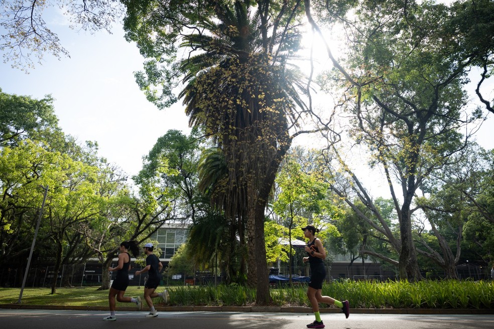 .Ministério Público investiga super exploração do Parque do Ibirapuera: festivais privados de música tem limitado o acesso do público às áreas e afugentado os animais d — Foto: Maria Isabel Oliveira / O Globo.