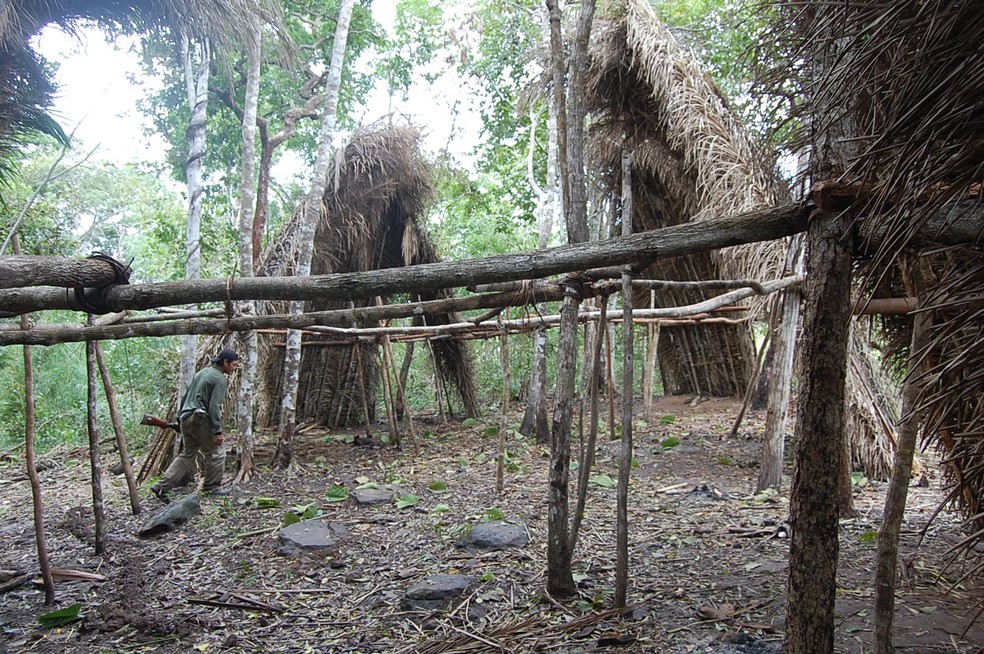 Cabanas temporárias feitas com a palha da palmeira babaçu (tapiris) podem chegar a uma altura de cinco metros  e são usadas para caça e coleta na floresta — Foto: Funai