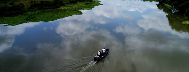 No Pantanal Iguaçuano, a paisagem deslumbra quem navega pelas águas da região — Foto: Custodio Coimbra