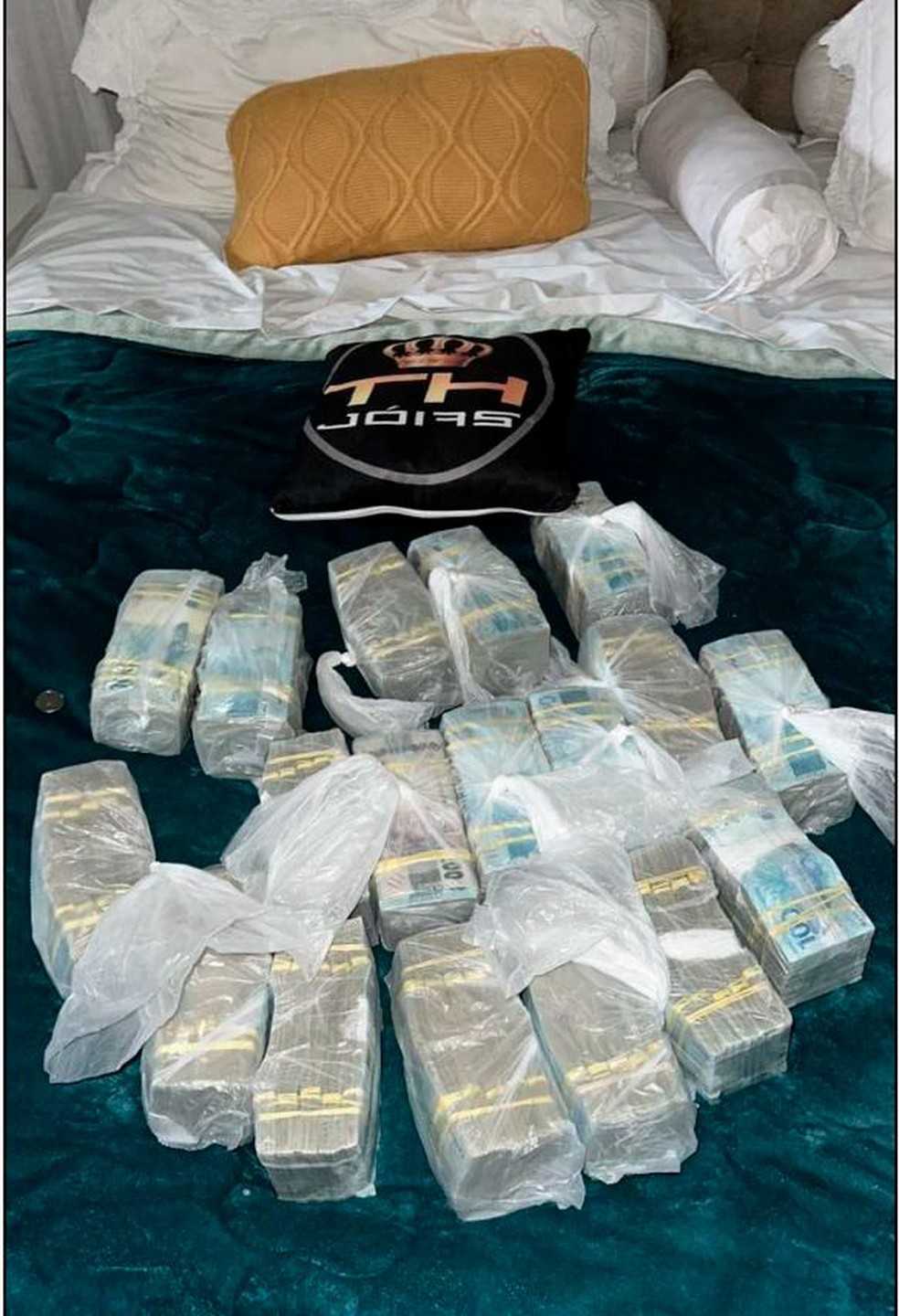 Dinheiro que seria do tráfico de drogas e que TH Jóias faria o câmbio por dólares — Foto: Reprodução