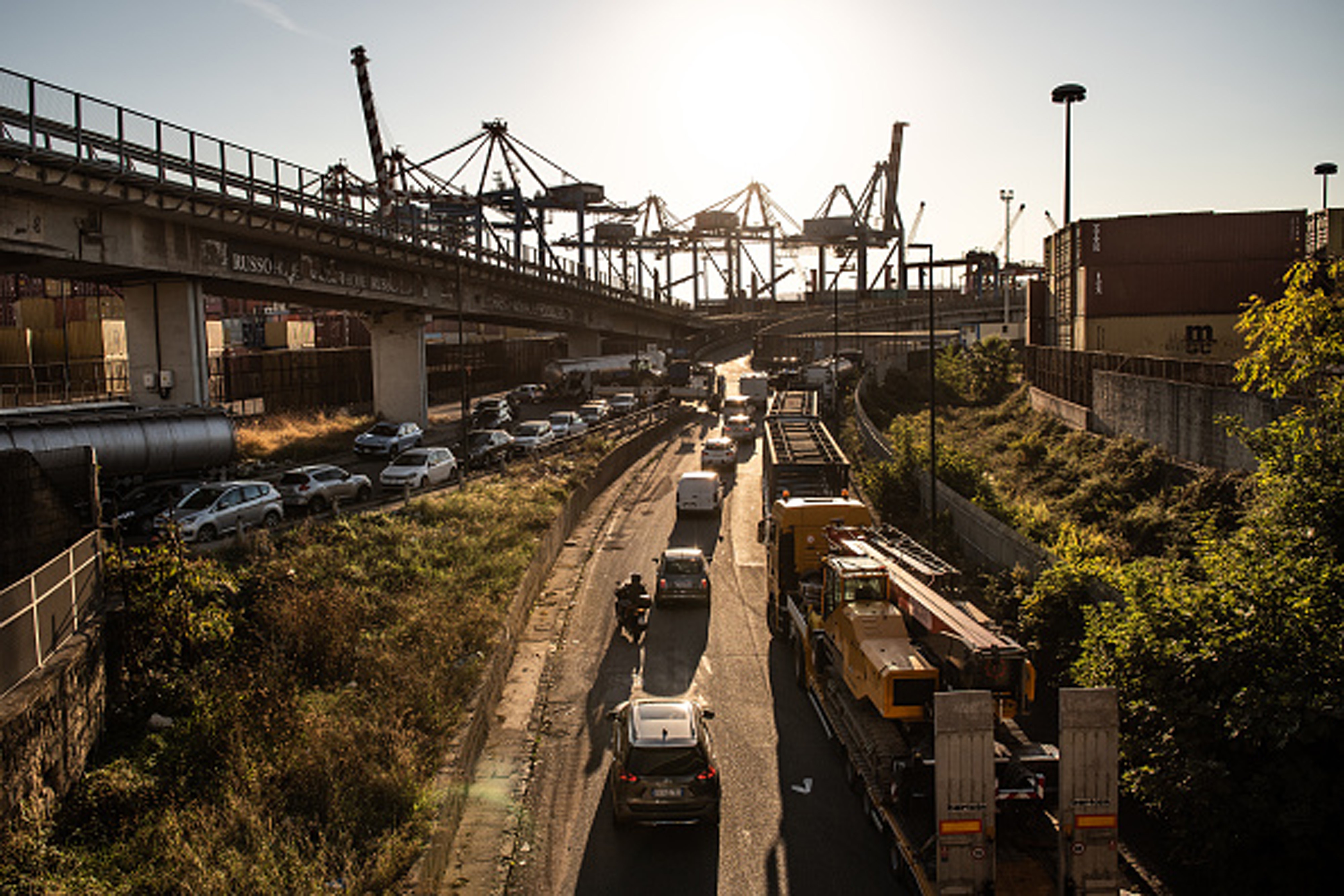 Produção de muçarela de búfala na Itália é suspensa devido a protestos de caminhoneiros