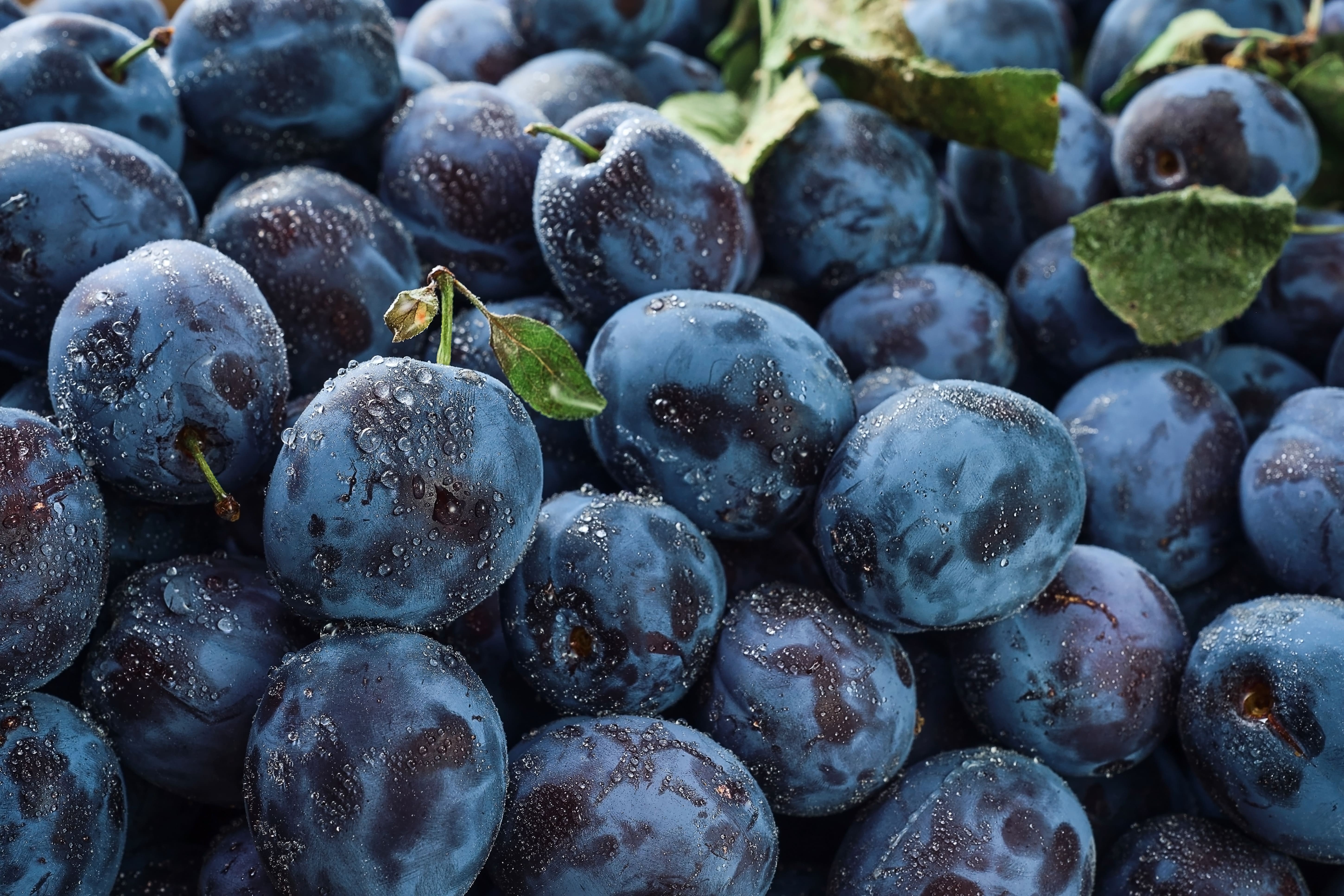 O alimento chamado de ‘ouro negro’ por ser um potente antioxidante que fortalece os ossos