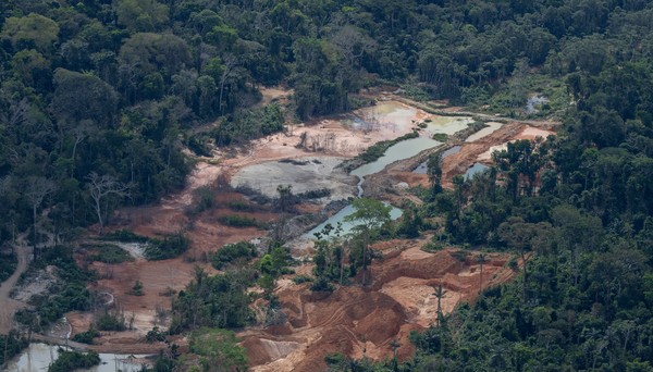 Área destruída pelo garimpo em Unidades de Conservação da Amazônia cresce 16,6% em oito meses
