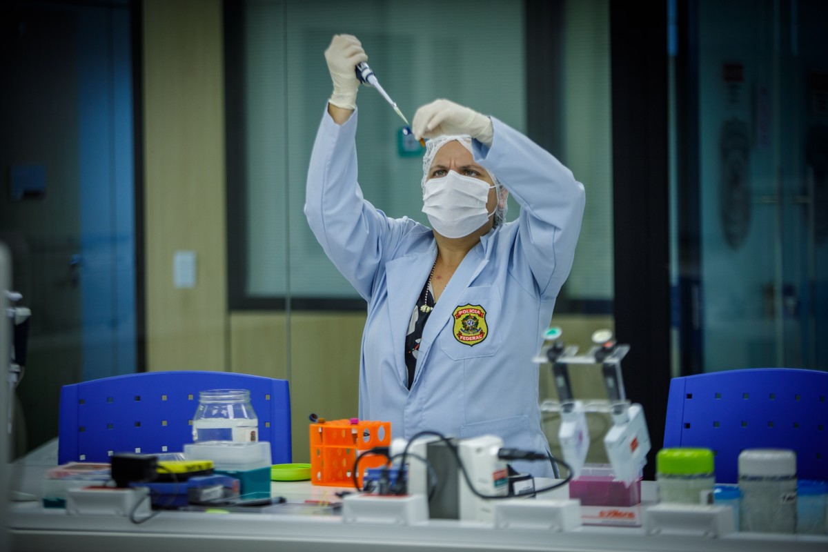 'CSI' Brasil: banco de DNA atinge marca de 200 mil amostras e mais de 5 ...