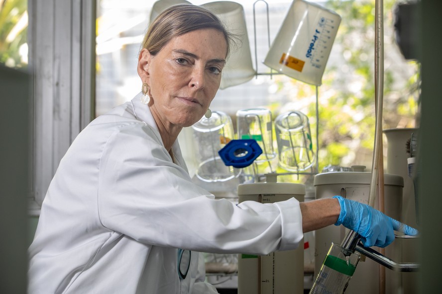 Tatiana Sampaio, chefe do Laboratório de Biologia da Matriz Extracelular da UFRJ e responsável pela polilaminina, medicamento experimental com potencial de recuperar lesões medulares.