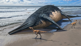 Família encontra fóssil que pode ser do maior réptil marinho conhecido, na Inglaterra; veja fotos