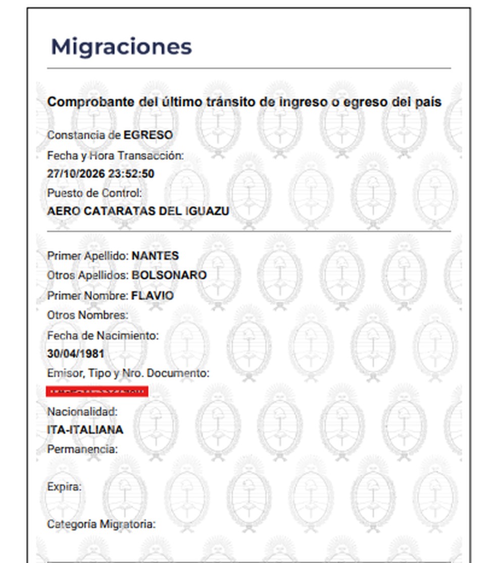Informações do controle migratório da Argentina — Foto: Reprodução