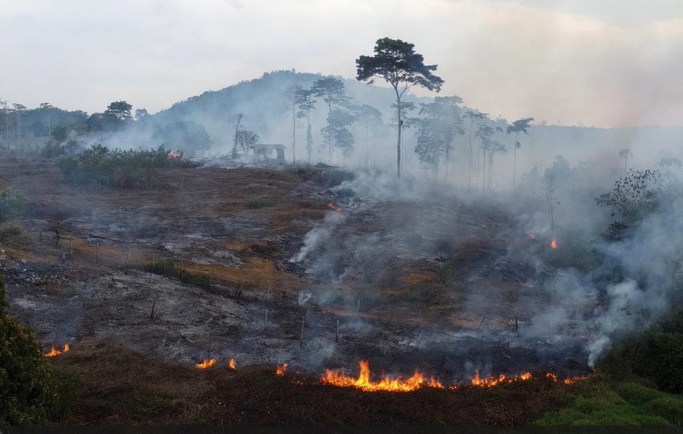 AGU pede reparação de R$ 89 milhões por queimadas na Amazônia