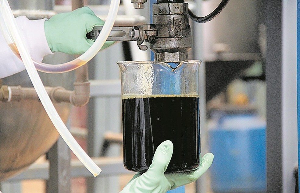 Biodiesel produzido com óleo da palmeira brasileira chamada macaúba — Foto: Divulgação/Ufla