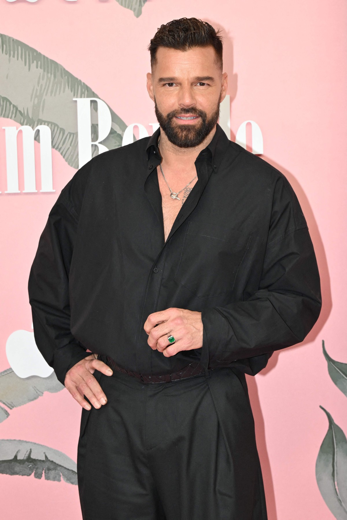 Crush em John Travolta, primeiro beijo em uma mulher... Ricky Martin ...