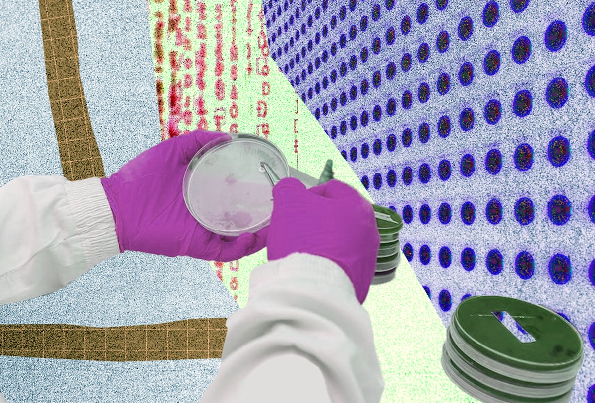 Imagem ilustrativa de Correção Ao Vivo do Bloco 3 do CNU 2025: Gabarito de Conhecimentos Gerais e Específicos em Tempo Real