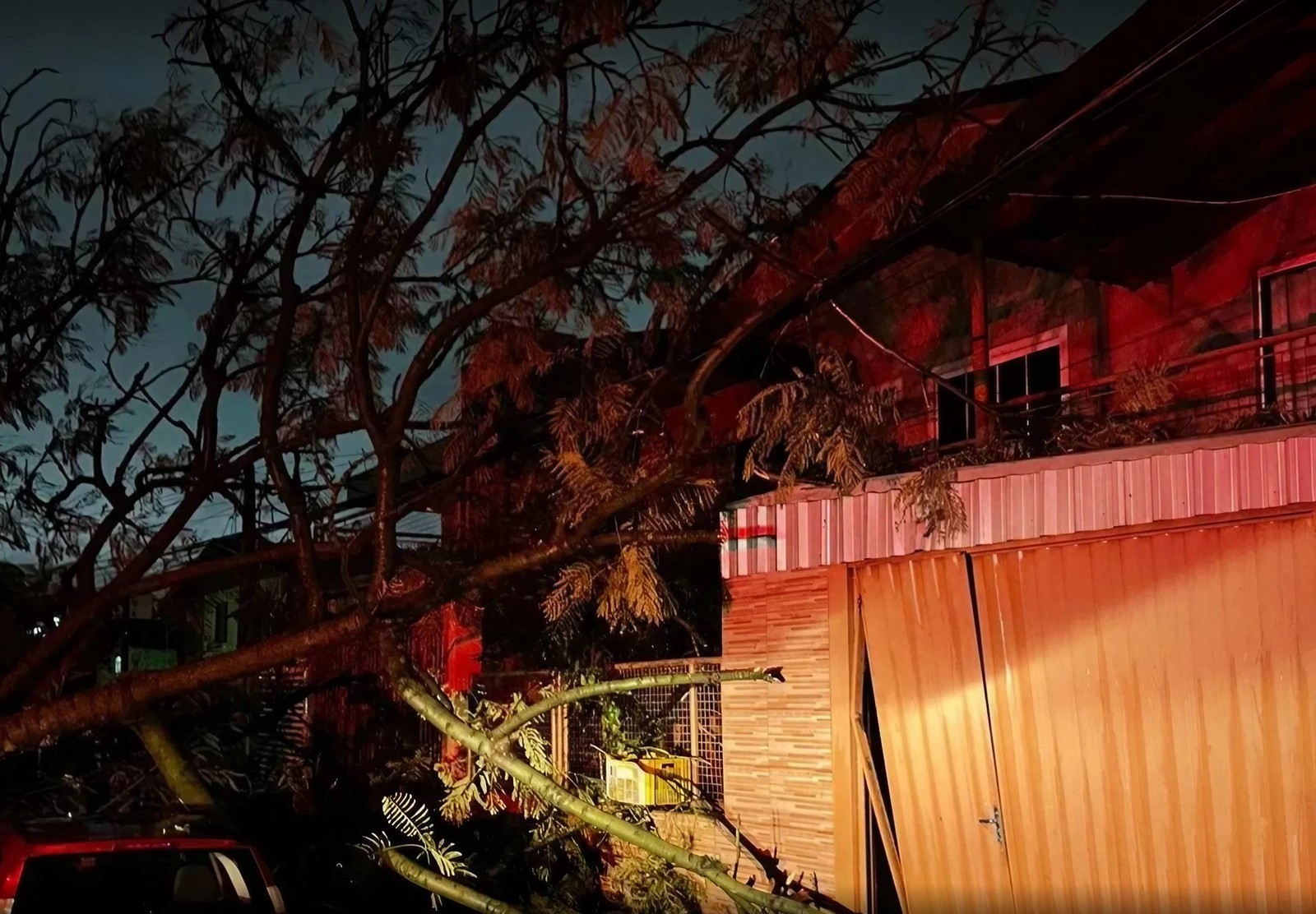 Ciclone arranca árvores, interdita estradas e causa estragos em SC. Queda de árvore atinge casa e carro em Chapecó, no Oeste. — Foto: Defesa Civil de Chapecó / Divulgação