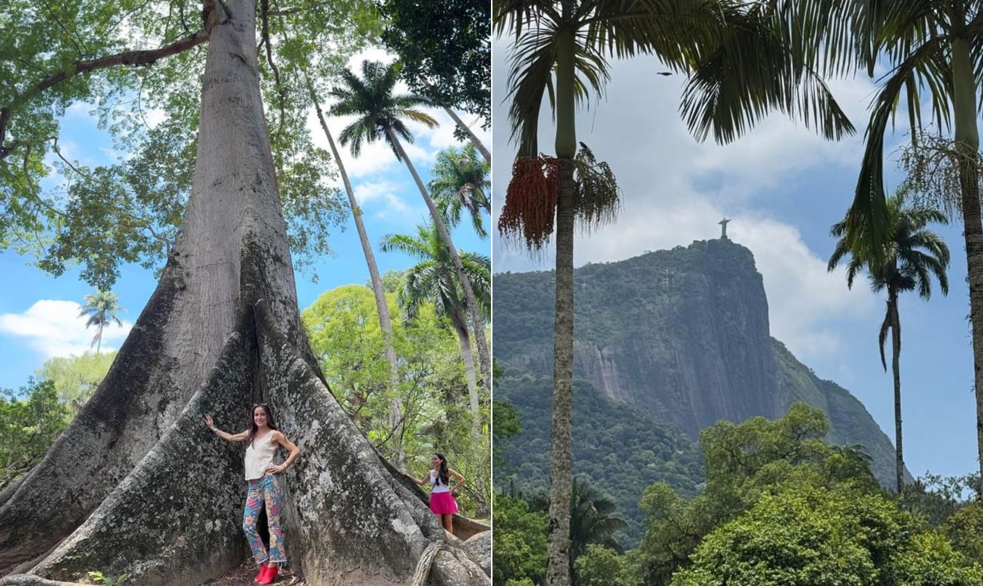 Filha de Biden visita Jardim Botânico do Rio: encanto com orquídeas e foto com árvore favorita de Tom Jobim