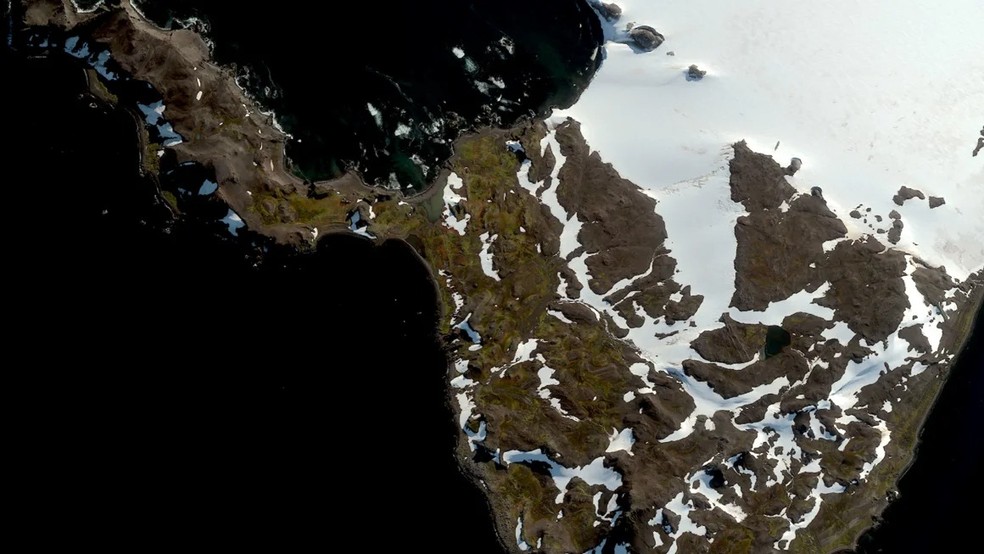 Imagem de satélite mostra crescimento de áreas verdes na Antártica — Foto: Tom Roland