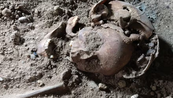 'Guarida do Lobo': 5 esqueletos humanos são encontrados na casa do líder nazista Hermann Göring