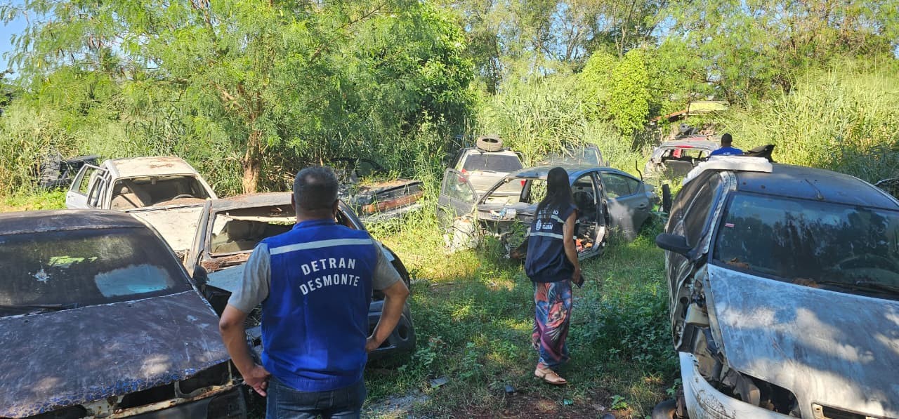 Agentes da Operação Desmonte encontram cemitério de automóveis em Itaboraí