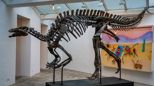 Esqueleto de dinossauro avaliado em R$ 6,2 milhões vai a leilão em Paris