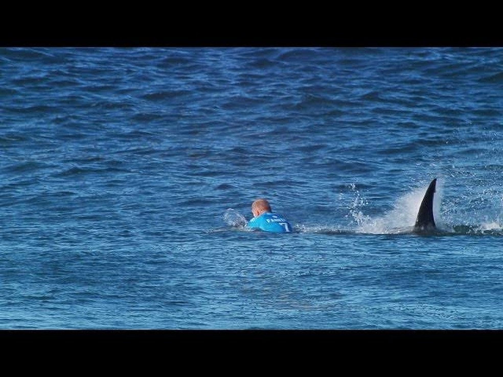 Mick Fanning was attacked by a shark in 2015 - Image: Reproduction