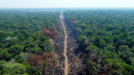 Desmatamento cai 31% na Amazônia e avança 35% no cerrado de janeiro a maio em comparação a 2022