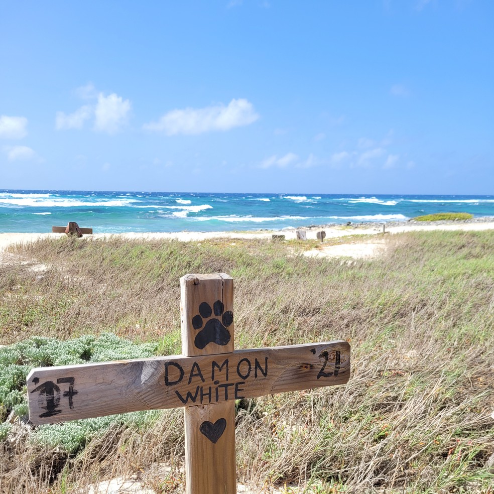 Uma das cruzes do cemitério de animais de estimação em Santana di Cachó, no sul de Aruba, no Caribe — Foto: Eduardo Maia / O Globo