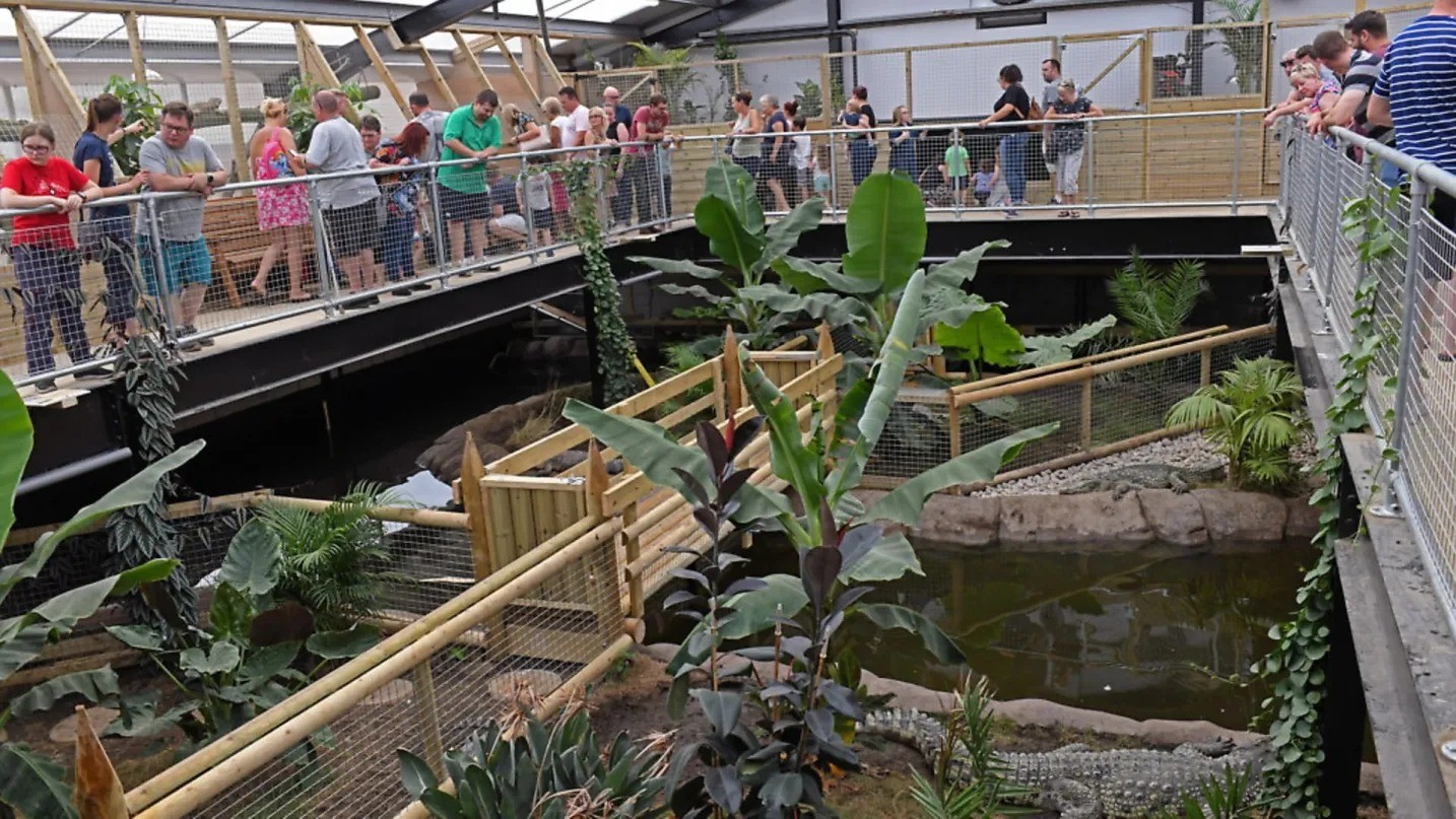 Criança que sofreu ataque de crocodilo passa por 7ª cirurgia no Reino Unido