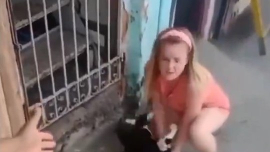 Polícia abre inquérito contra mulher que aparece em vídeo agredindo gata em Realengo 