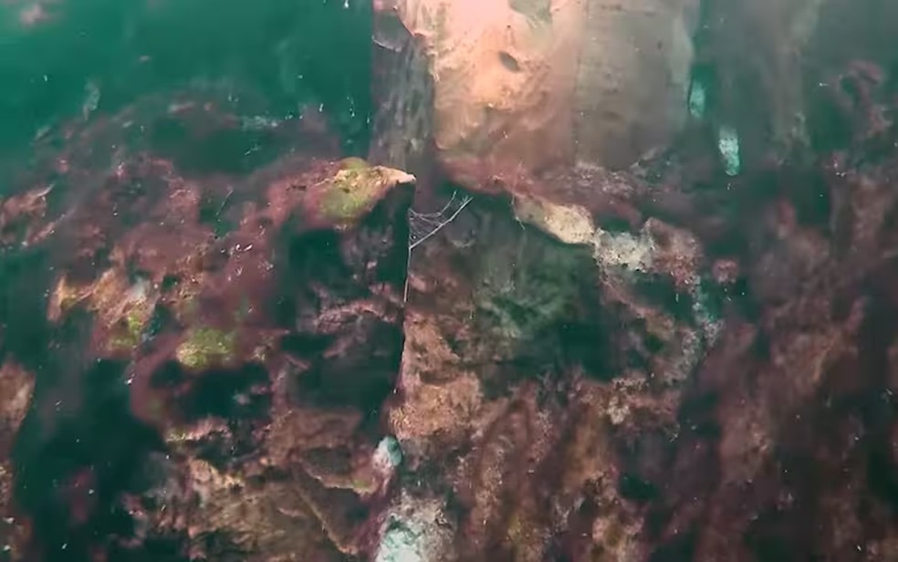 Paredes internas da caverna submarina — Foto: Divulgação/ECOSUR