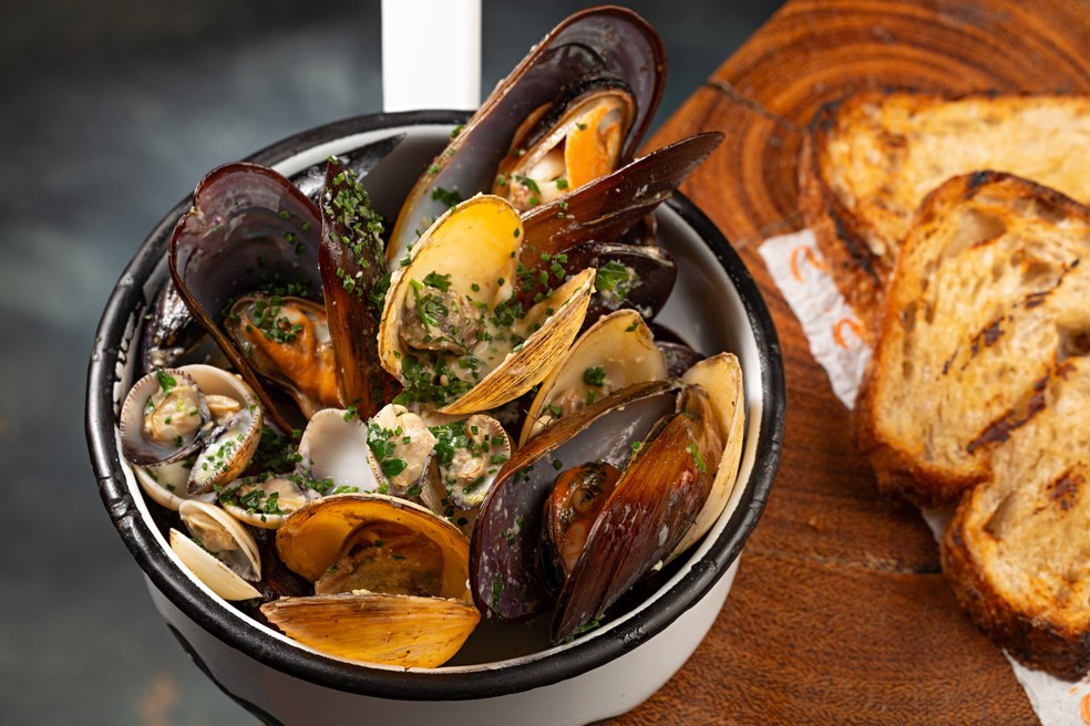 Brazilian shells from Rudä — Photo: Rodrigo Azevedo