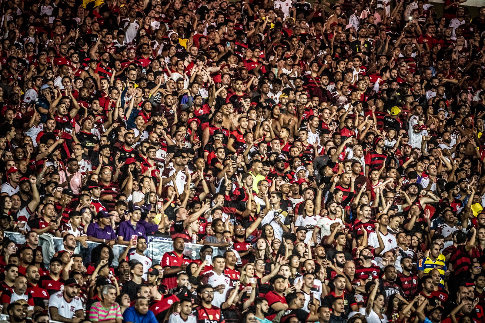1º — Flamengo: 21,8 (de 20% a 23,6% pela margem de erro) — Foto: Alexandre Vidal / Flamengo