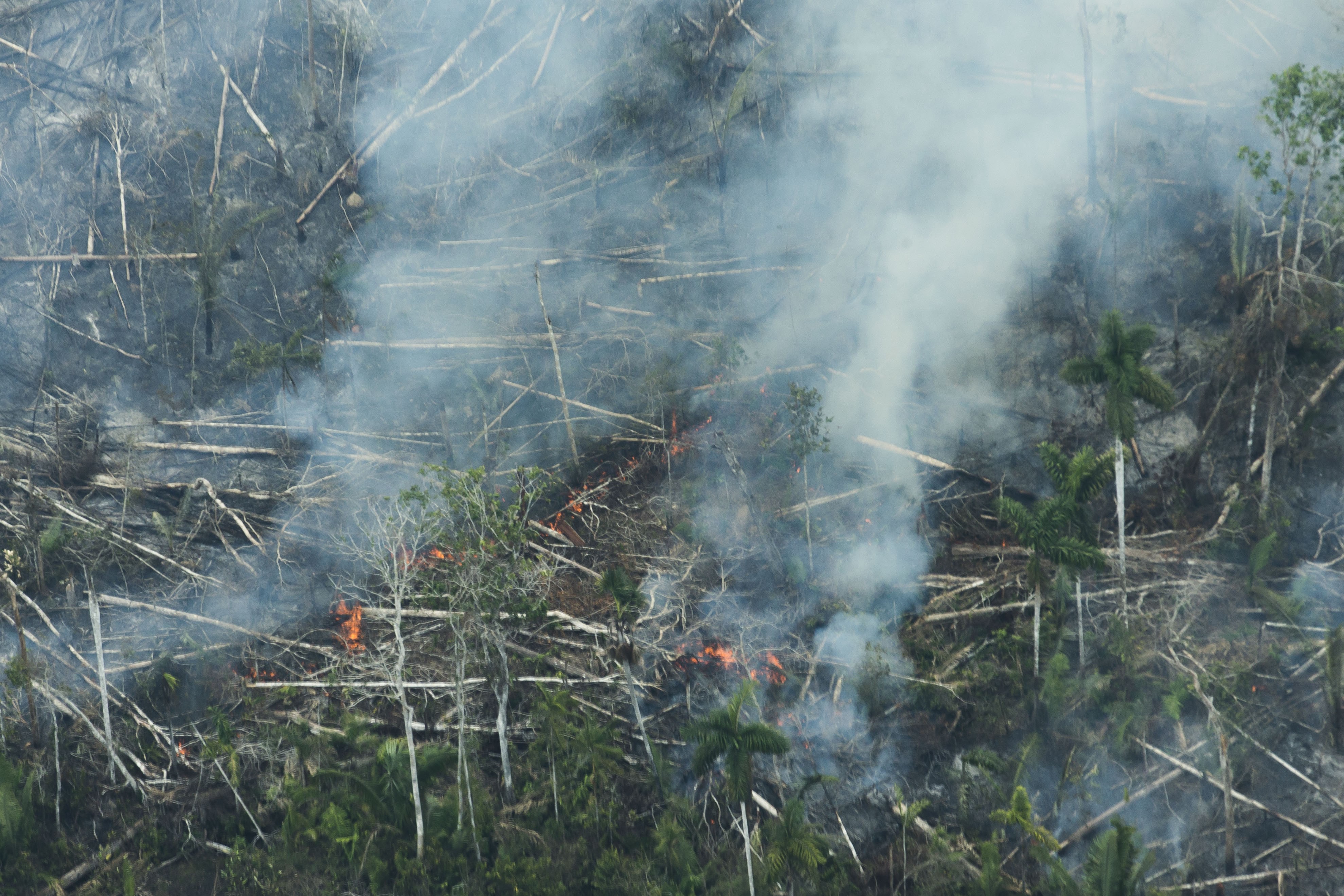 Governo anuncia ampliação de meta corte de CO2 sem publicar documento oficial