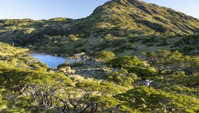 'Ilha virgem': propriedade intocada no Chile está à venda por R$ 181 milhões