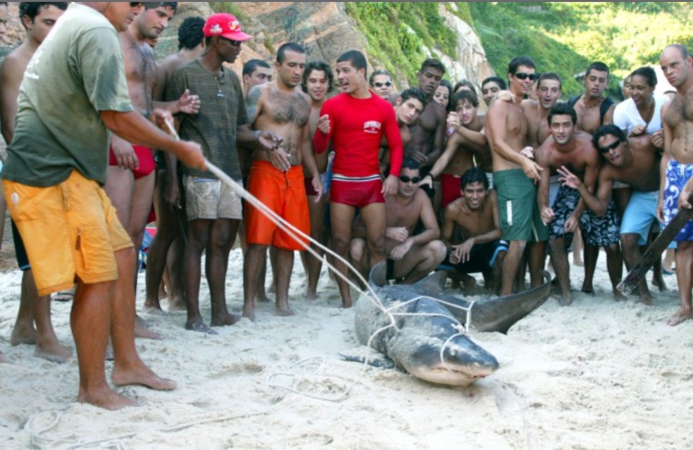 Tubarão amarrado e morto por banhistas na Praia da Joatinga, em 2003 — Foto: Marco Antonio Cavalcanti/Agência O GLOBO