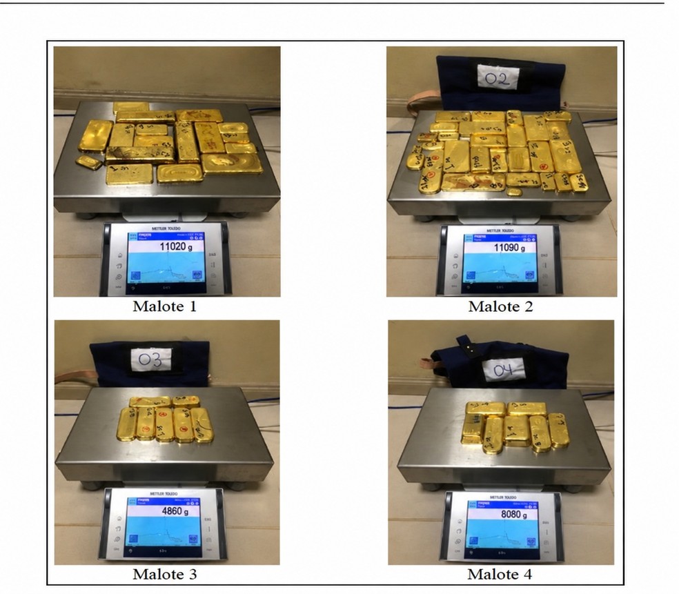Invisible gold: R$10 billion web links Amazon to Switzerland and Italy