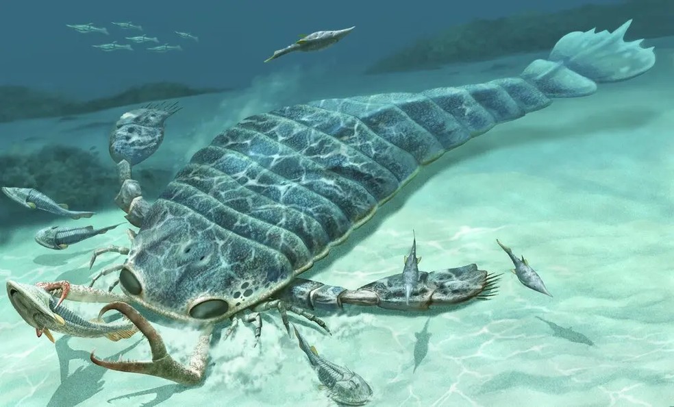 Impressão artística de Jaekelopterus rhenaniae, um escorpião marinho que viveu há aproximadamente 390 milhões de anos e é um dos maiores artrópodes já descobertos. — Foto: Ja Chirinos/Science Source