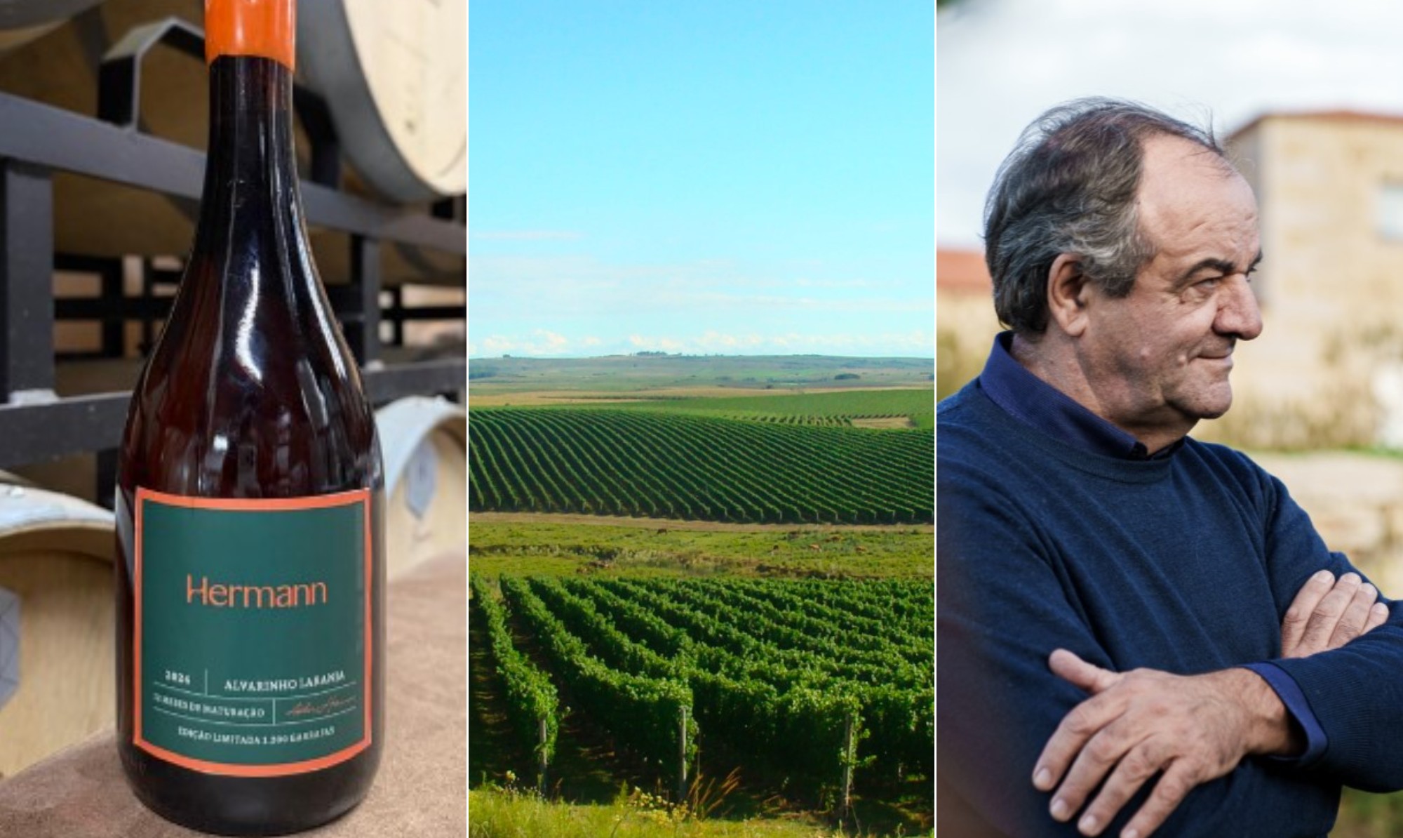Hermman lança vinho laranja com assinatura do enólogo português Anselmo Mendes, o 'Rei do Alvarinho'