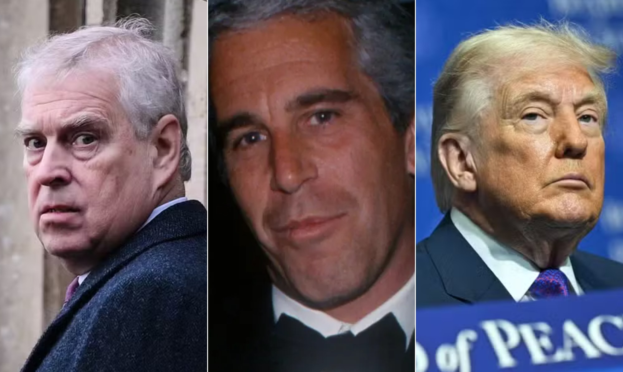 Da pris&atilde;o de Andrew a den&uacute;ncias contra Trump, veja o que se sabe sobre o caso Epstein