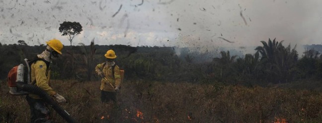 Membros da brigada de incêndio do Instituto Brasileiro do Meio Ambiente e dos Recursos Naturais Renováveis (IBAMA) tentam controlar pontos quentes durante um incêndio na floresta amazônica do Brasil, em Apui, estado do Amazonas — Foto: BRUNO KELLY / REUTERS