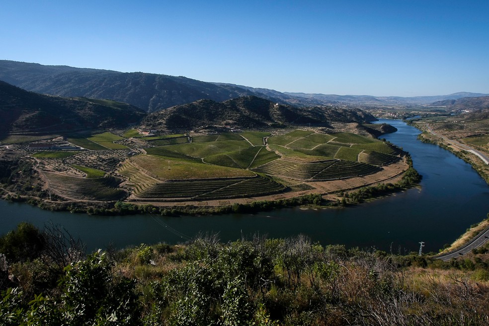 A Quinta do Vale Meão — Foto: Divulgação